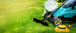 Are You Ready to Start Your Landscaping Business Today_