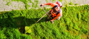 How Many People in the U.S. Need Lawn Care Services_