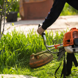 Landscaping Services You Can Provide to Your Clients