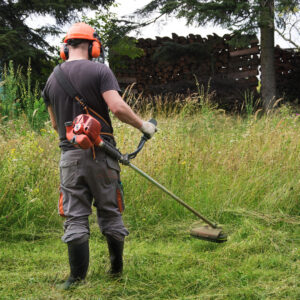 Where Do Lawn Care Service Leads Come From_