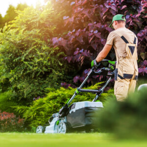 A list of your lawn mowing or landscaping services