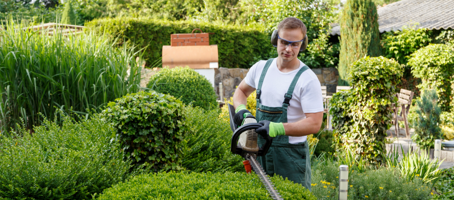Start SEO for your landscaping company today
