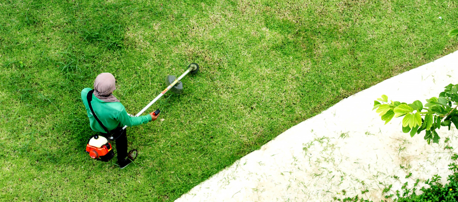 Best for lawn maintenance_ Weed Man